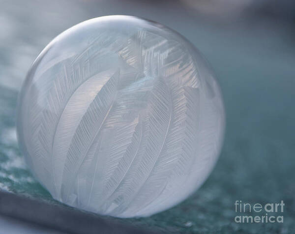 Soap Bubble Art Print featuring the photograph Frozen Soap Bubble -Georgia by Adrian De Leon Art and Photography