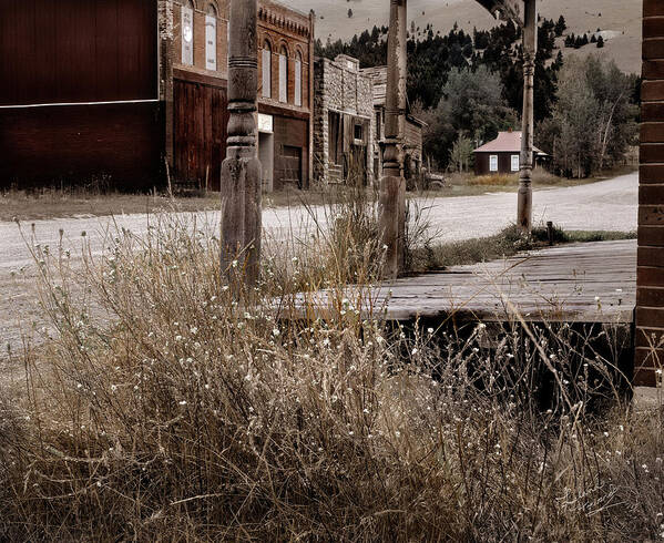 Cabin Art Print featuring the photograph Ghost Town 2 by Leland D Howard