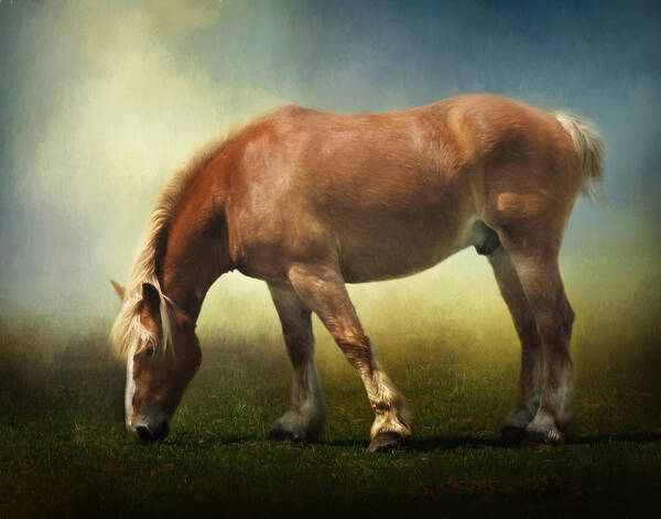 Animals Art Print featuring the photograph Grazing Belgian by David and Carol Kelly