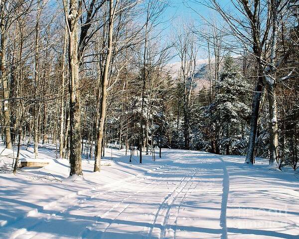 Winter Art Print featuring the photograph Happy Trails by Phil Spitze