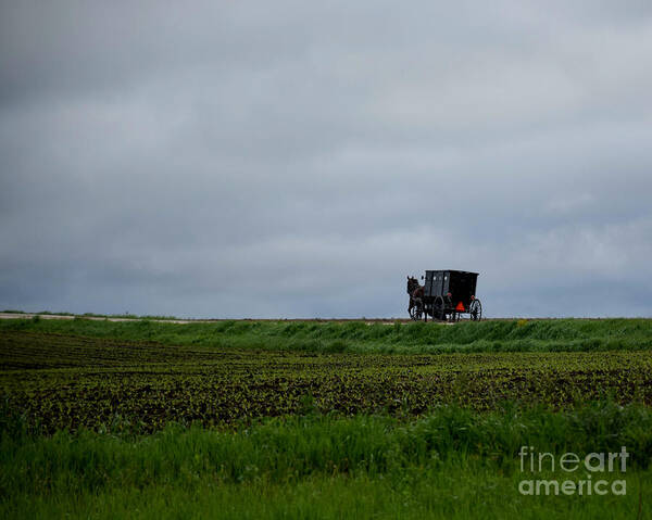 Horse And Buggy Travel Art Print featuring the photograph Horse And Buggy Travel by Kathy M Krause