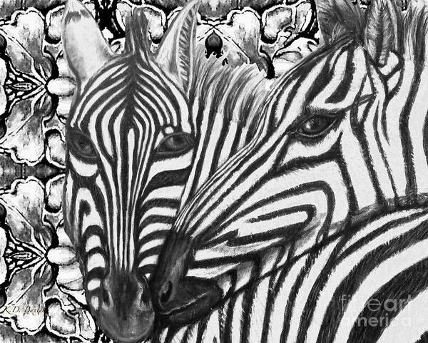 Bold Black And White Zebra Work Ale Zebra Nuzzling Female Affection Evident In Their Eyes Black And White Floral Motif Perfect Complement Nature Scene Animal Works Acrylic With Digital Effects Art Print featuring the painting I Am So Into You Zebra Love by Kimberlee Baxter