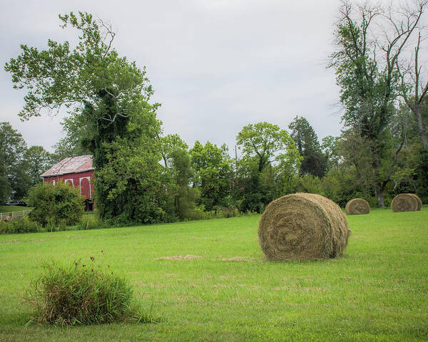 Haybales Art Print featuring the photograph In the Hayfield by Greg Sommer