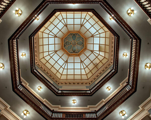 American Kiwi Photo Art Print featuring the photograph Inside the Dome by Mark Dodd