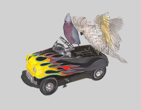 Tee Shirt Watercolor Art Of Julies Pet Parrots Playing In A Restored Vintage Peddle Car Art Print featuring the painting Julies Kids by Jack Pumphrey