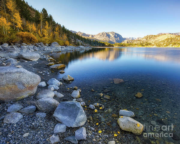 June Lake Art Print featuring the photograph June Lake by Anthony Michael Bonafede