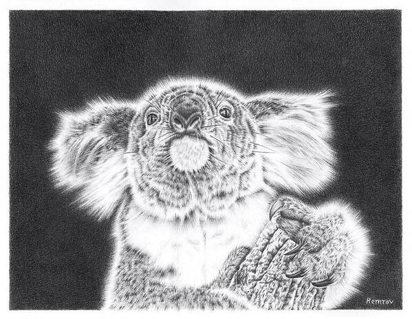 Koala Art Print featuring the drawing King Koala by Casey 'Remrov' Vormer
