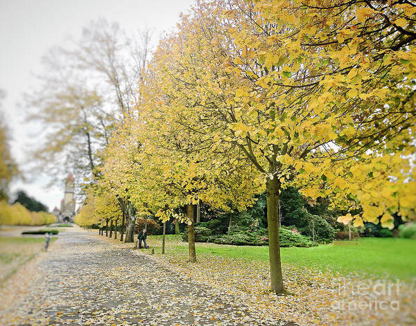 Autumn Photograph Art Print featuring the photograph Leipzig Memorial Park in Autumn by Ivy Ho