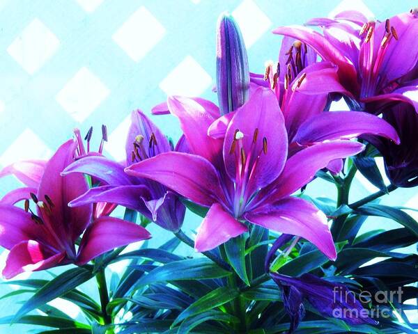 Flowers Art Print featuring the photograph Lily Abstracts by Jan Gelders