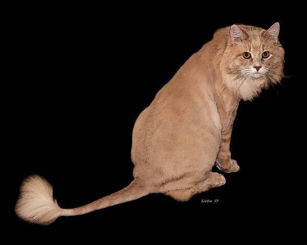 Cat Art Print featuring the digital art Little Lion King by Larry Linton