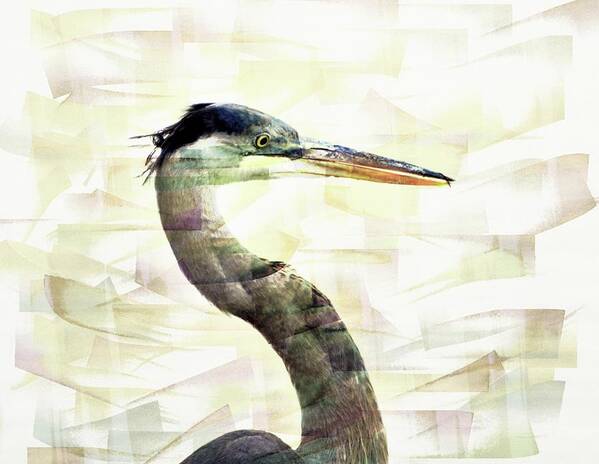 Bird Art Print featuring the photograph Long Neck 4 by Marty Koch