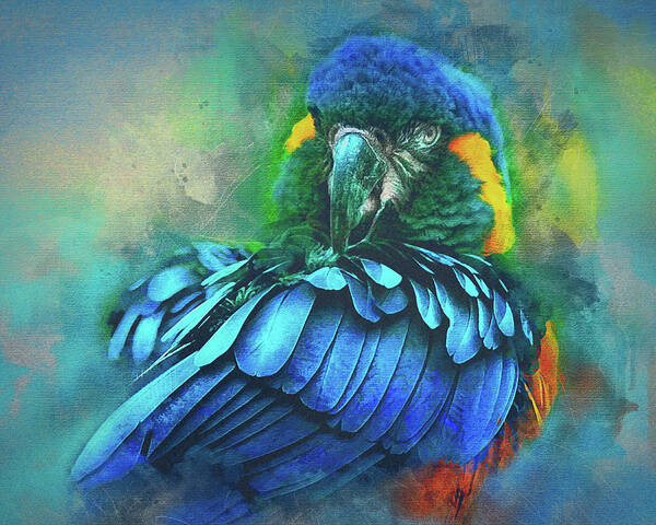 Macaw Art Print featuring the photograph Macaw Magic by Brian Tarr