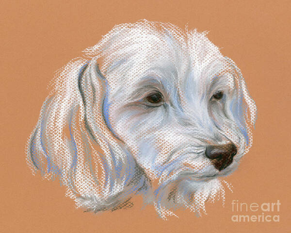 Dog Art Print featuring the pastel Maltipoo Portrait by MM Anderson