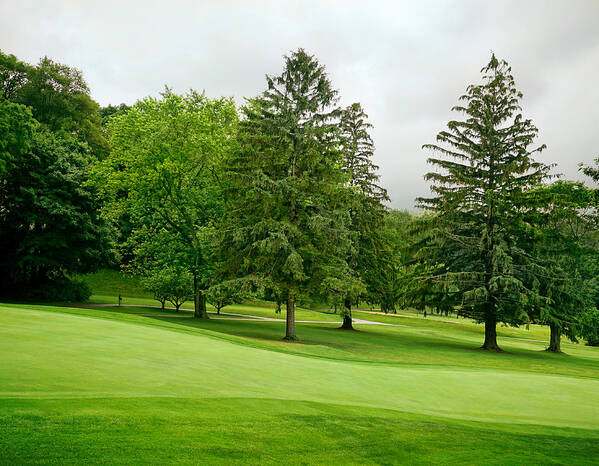 Golf Course Art Print featuring the photograph Michigan Green by Kathi Mirto