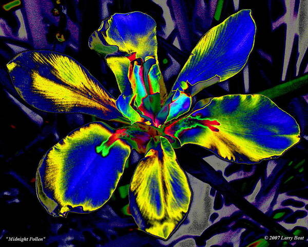 Flower Art Print featuring the digital art Midnight Pollen by Larry Beat