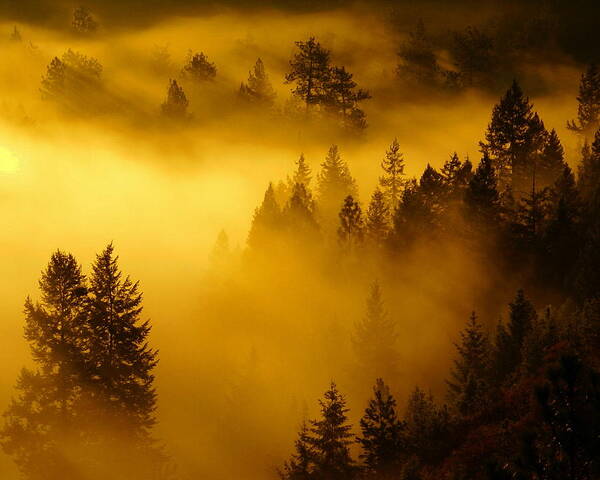 Nature Art Print featuring the photograph Misty Morning Sunrise by Ben Upham III