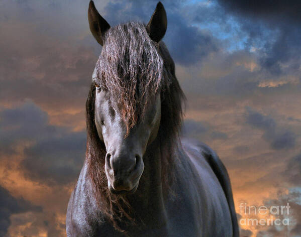 Animal Art Print featuring the photograph Morgan Stallion in the Clouds by Sandra Huston