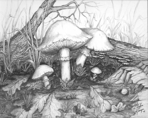 Mushrooms And Decaying Leaves Composition By Doug Kreuger Art Print featuring the drawing Mushrooms -Pencil Study by Doug Kreuger