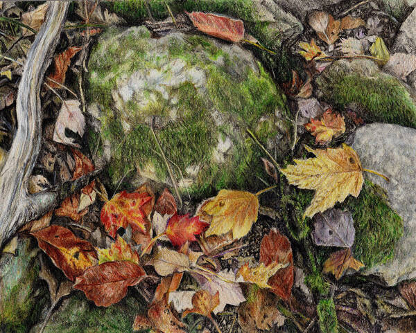 Rocks Art Print featuring the drawing Nature's Confetti by Shana Rowe Jackson