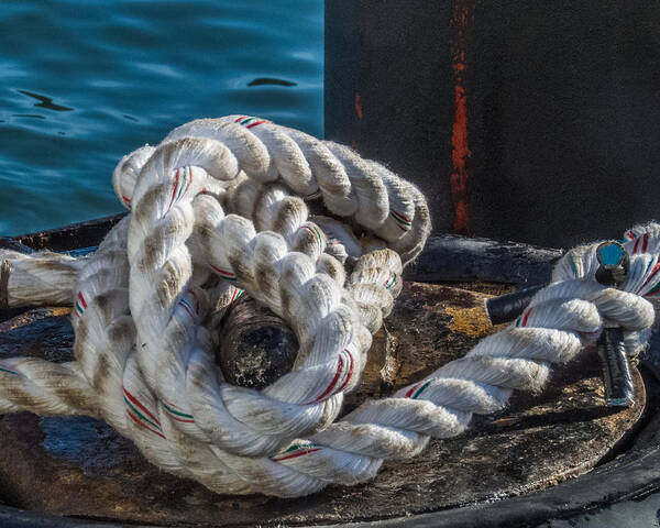 Rope Art Print featuring the photograph Ship Rope by Patti Deters