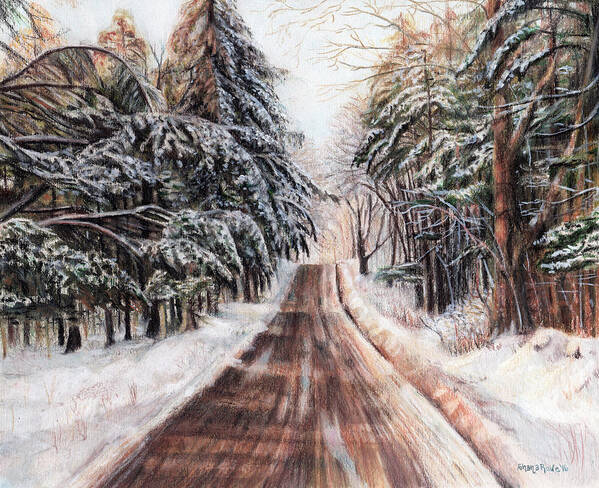 Winter Art Print featuring the drawing Northeast Winter by Shana Rowe Jackson