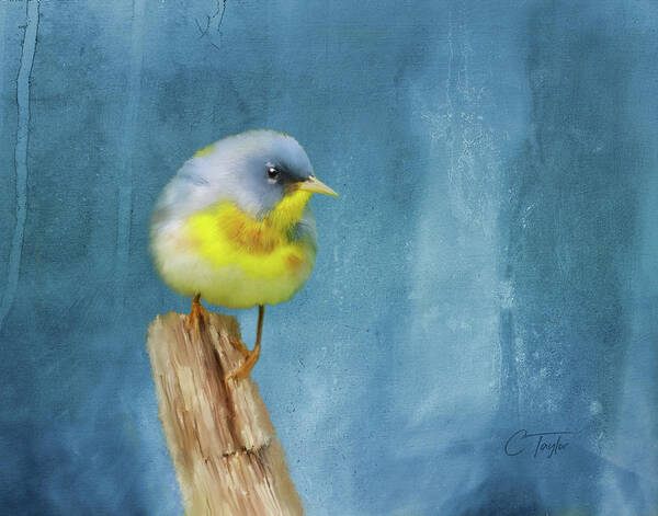 Birds Art Print featuring the painting Northern Blue Song Bird by Colleen Taylor