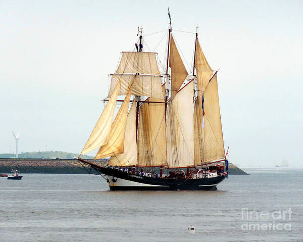 Oosterschelde Art Print featuring the photograph Oosterschelde by Janice Drew