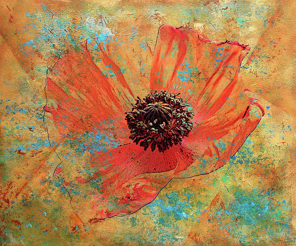 Flower Art Print Art Print featuring the digital art Orange Poppy by Catherine Jeltes