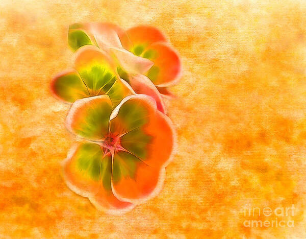 Flowers Art Print featuring the photograph Orangeade by Judi Bagwell