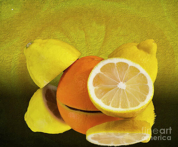 Oranges Art Print featuring the photograph Oranges and Lemons by Shirley Mangini