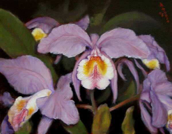 Realism Art Print featuring the painting Orchids by Donelli DiMaria