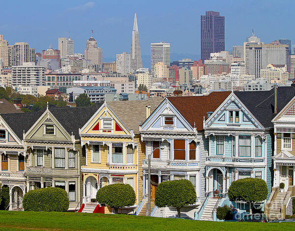 Painted Ladies Art Print featuring the photograph Painted Ladies by Jack Schultz