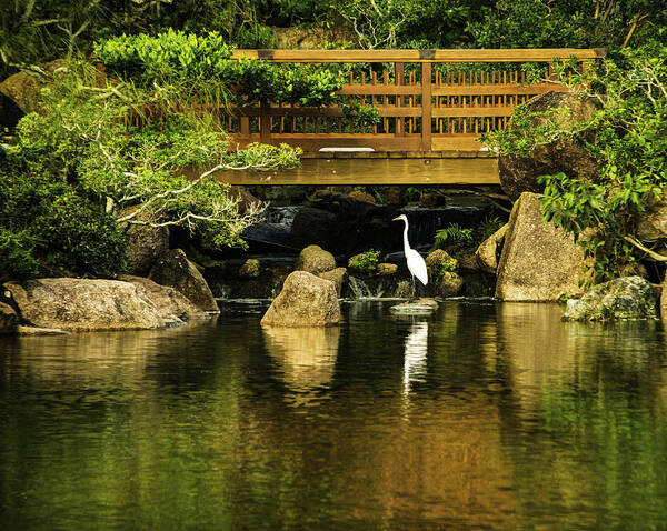 Florida Art Print featuring the photograph Peace at Morikami Gardens by Roberta Kayne