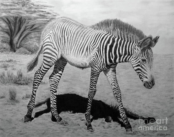 Zebra Art Print featuring the painting Penda by Jennifer Watson