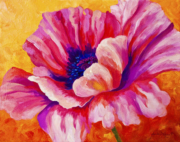 Poppies Art Print featuring the painting Pink Poppy by Marion Rose