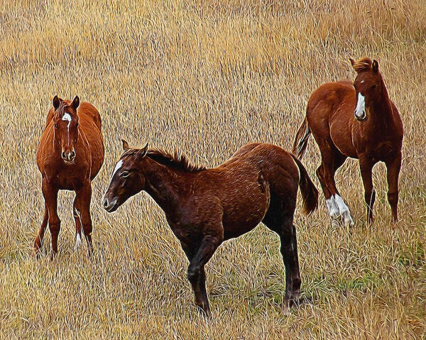Horses Art Print featuring the digital art Playful Ponies Digital Art by Ernest Echols