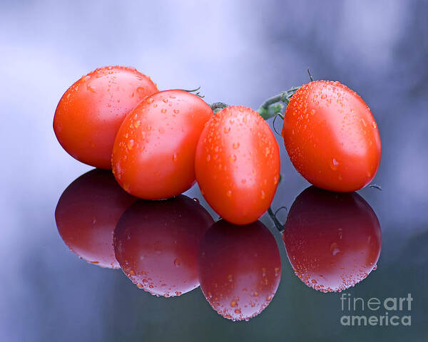 Tomatoes Art Print featuring the photograph Plum Tomatoes by Chris Smith