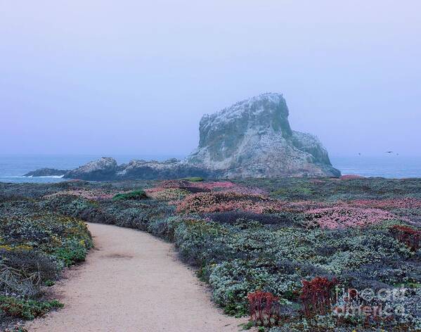 Pacific Coast Art Print featuring the photograph Point Piedras Blancas by Marcia Breznay