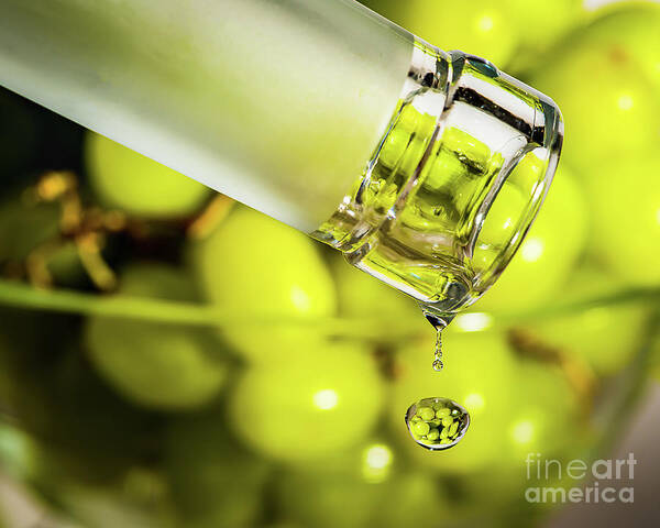 Macro Photography Art Print featuring the photograph Pour Me Some Vino by Alissa Beth Photography