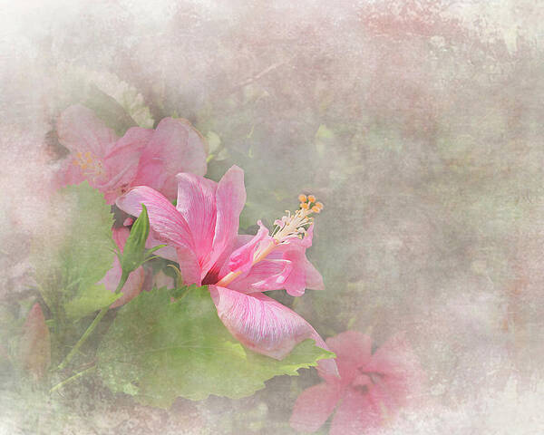 Flower Art Print featuring the digital art Pretty Pink Hibiscus by Michele A Loftus