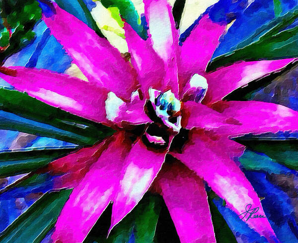 Rose Art Print featuring the photograph Purple Star Flower close up by Joan Reese