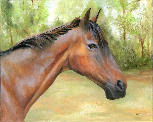 Equine Art Art Print featuring the painting Quest by Deborah Butts