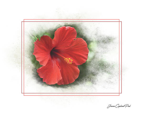 Red Hibiscus Art Print featuring the photograph Red Hibiscus by Joann Copeland-Paul