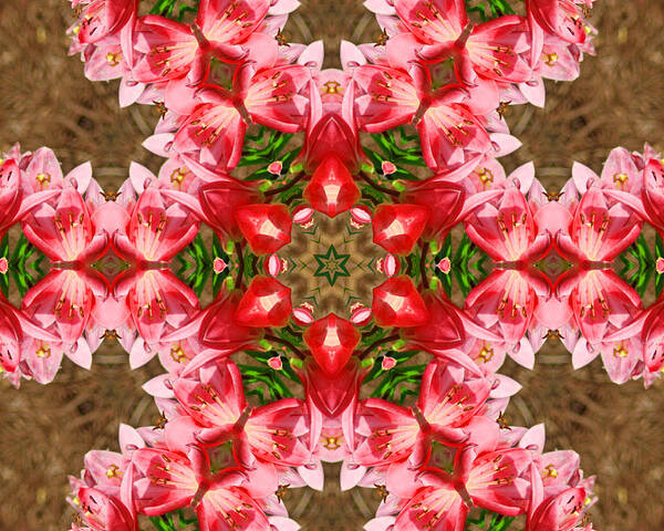 Red Art Print featuring the photograph Red Rose Kaleidoscope by Bill Barber