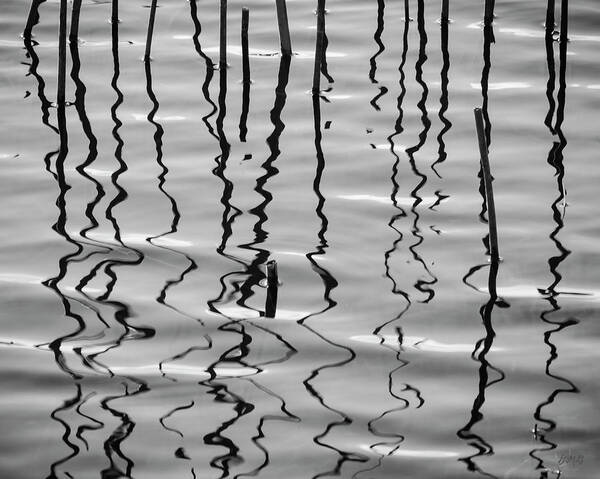 Reeds Art Print featuring the photograph Reeds and Reflections by David Gordon