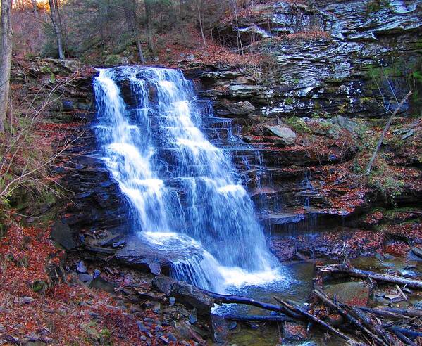 Ricketts Glen Art Print featuring the photograph Ricketts Glen Waterfall 3941 by David Dehner