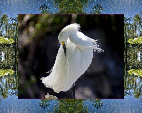 Nature Photos Art Print featuring the photograph River Egret by Bell And Todd