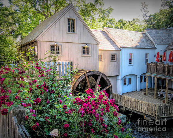 Roses Art Print featuring the photograph Roses at the Plimoth Grist Mill by Janice Drew