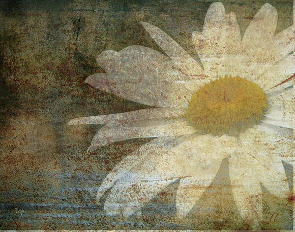 Daisy Art Print featuring the photograph Rusty Dreams by Traci Cottingham