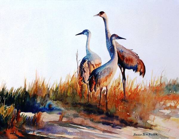 Sandhill Cranes Art Print featuring the painting Sandhill Cranes by Brenda Beck Fisher